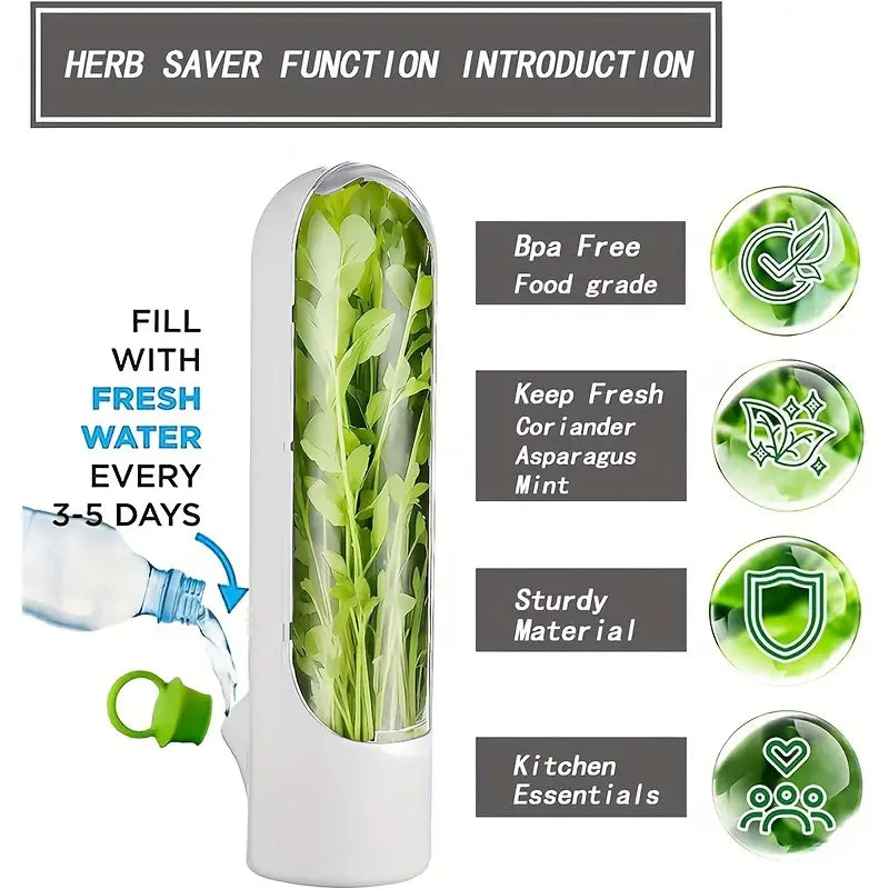 Kräuter-Aufbewahrung mit Wassertank für frische Kräuter