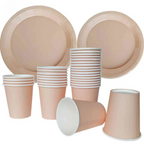 Einweggeschirr-Set für 20 Personen – Komplett mit Tafelkleed