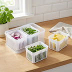 Kühlschrank-Aufbewahrungsbox mit Abtropfsieb